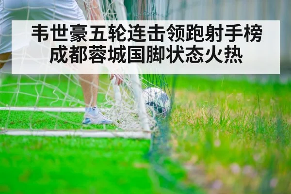 韦世豪五轮连击领跑射手榜 成都蓉城国脚状态火热