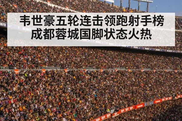 football stadium crowd